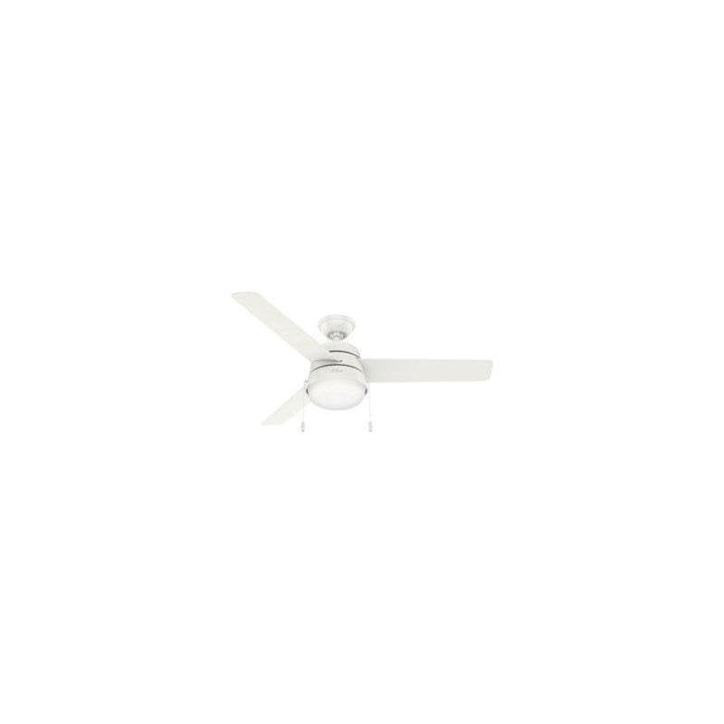 50387_l