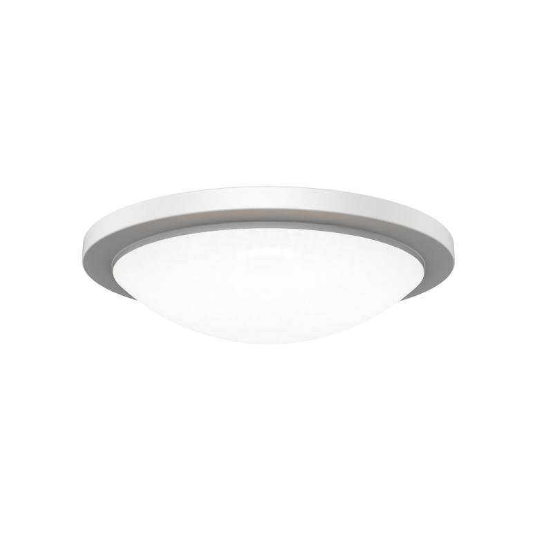 FM-252218-CS-WT