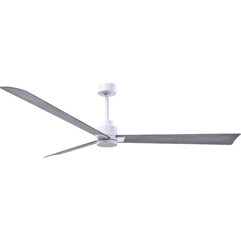 ak-wh-bw-72-01_max